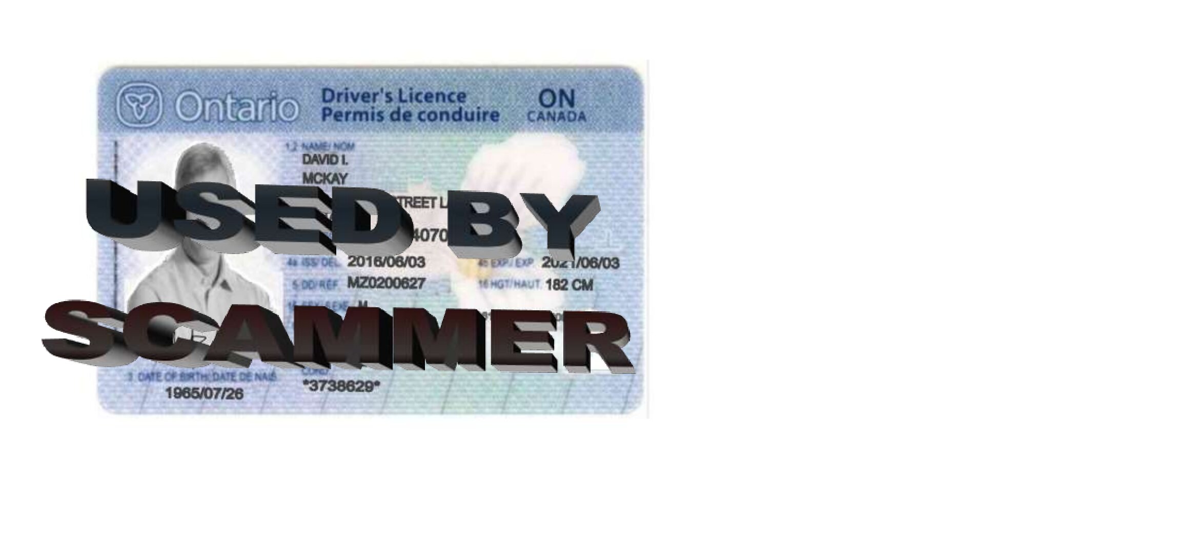 ONTARIO DRIVER LICENCE(1).jpg
